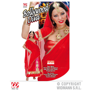 costume indiana bollywood diva 