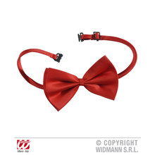 cravatte papillon e foulard