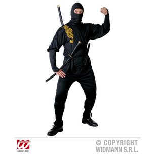 costume ninja