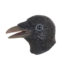 maschera corvo
