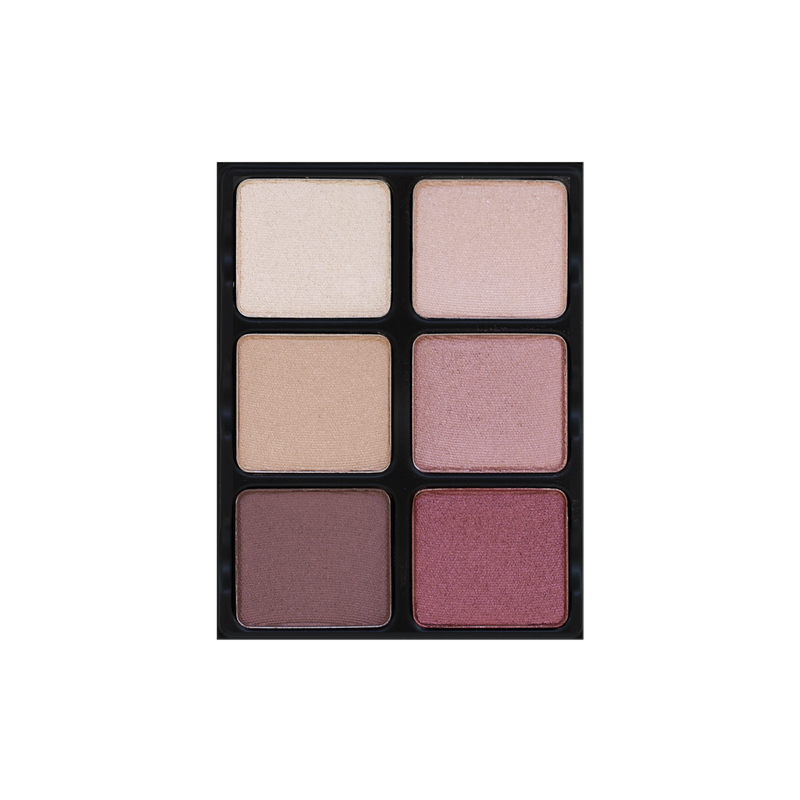 palette 6 ombretti 12gr nuance theory v