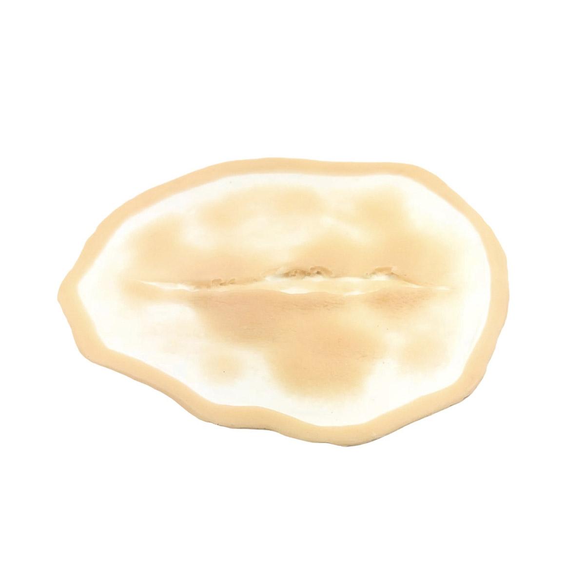 Protesi taglio collo 2 silicone