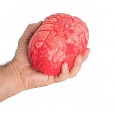 Cervello insanguinato