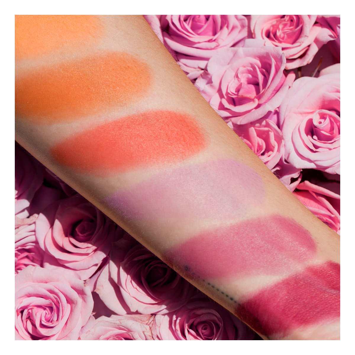 Palette fard blush 02 rose coral