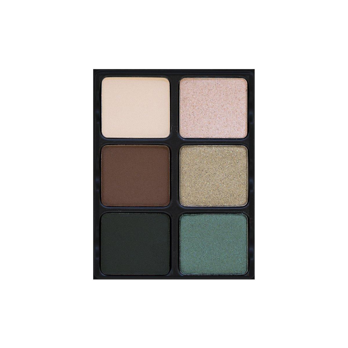 Palette 6 ombretti 12gr absinthe theory vi