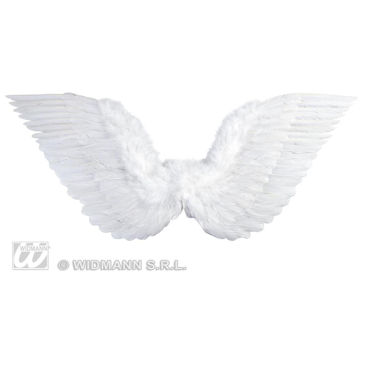 Ali piumate bianche 71x45 cm