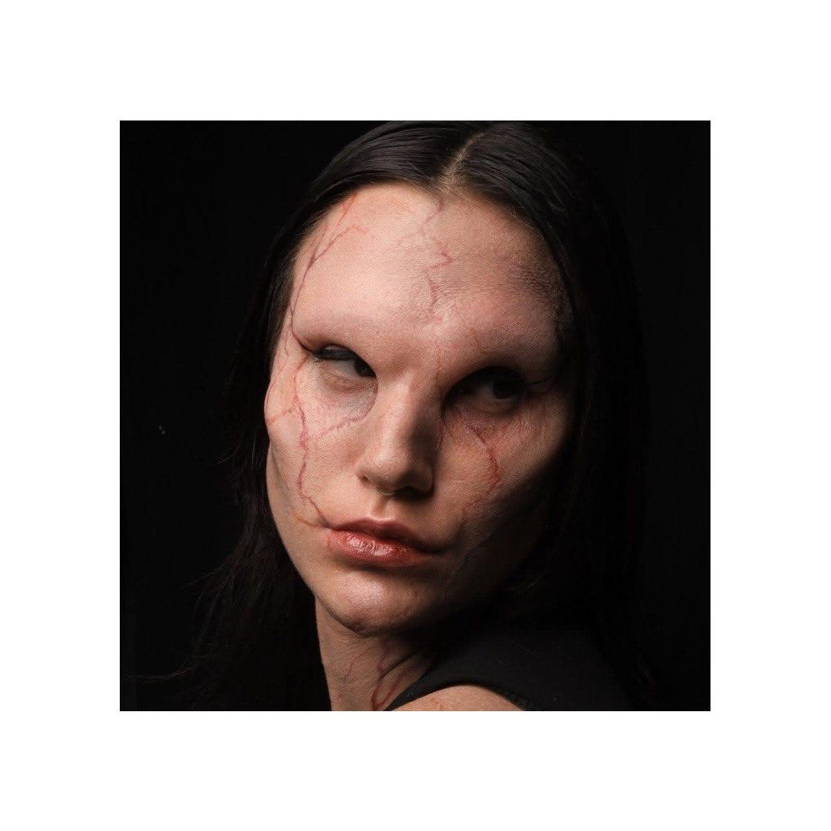 Protesi fronte zigomi aliena