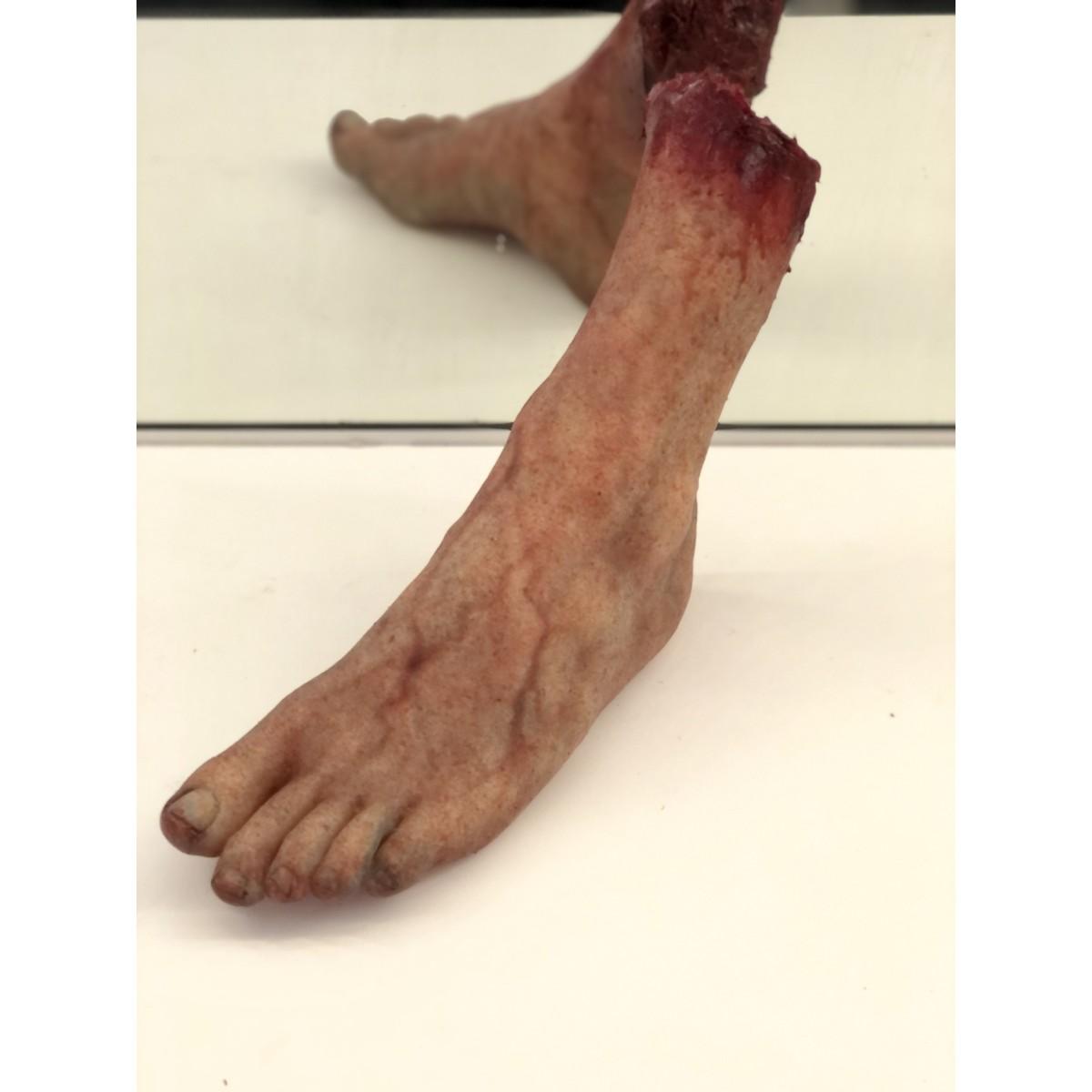 Pes-Venosus | <br />Piede Iper-Dettagliato con Rete Venosa FX