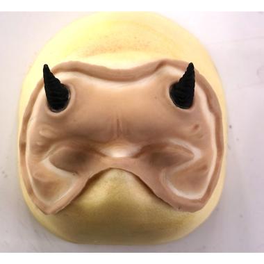 PROTESI FRONTE DIAVOLOcon zigomi e corna