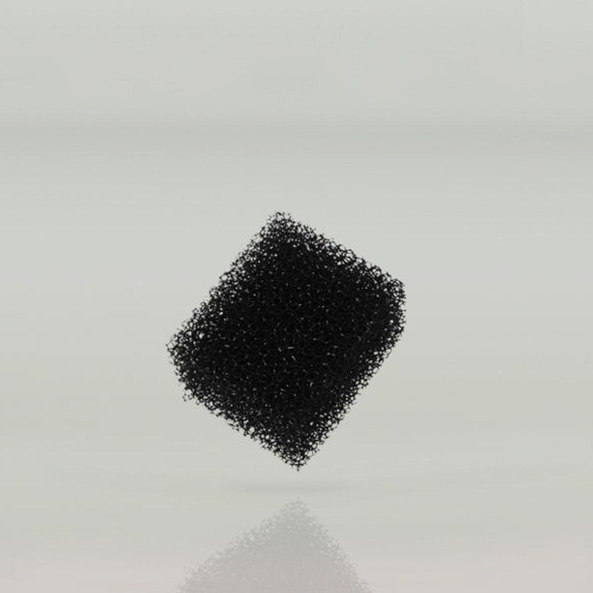 Spugnetta retinata grossolana